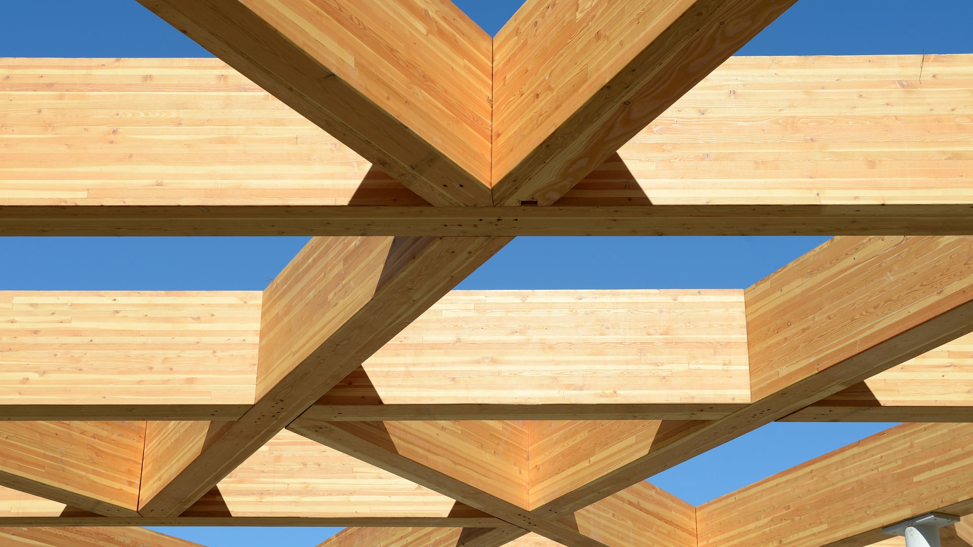 Conception de structures en bois