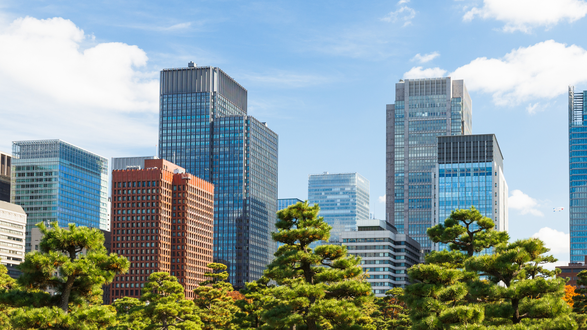 City Skyline with tall buildings